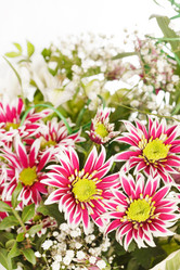 Similar image 2696760