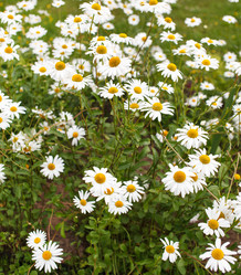 Similar image 2696764