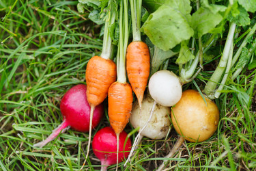 Similar image 2696768