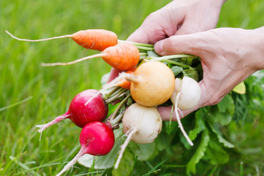 Similar image 2696771