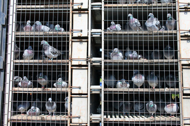 Similar image 2697013