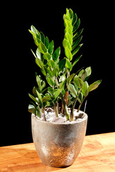 Similar image 2697064