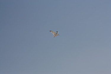 Similar image 2697539