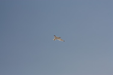 Similar image 2697540