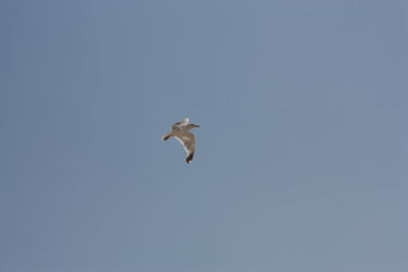 Similar image 2697542