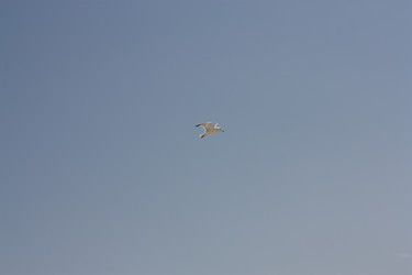 Similar image 2697547