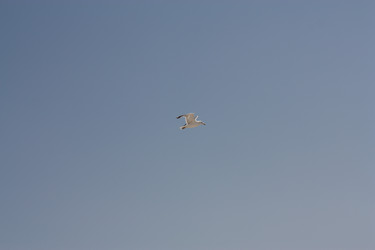 Similar image 2697548