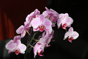 Similar image 2697711