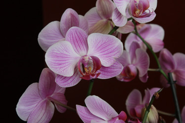 Similar image 2697713