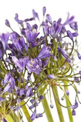 Similar image 2697882