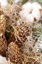 Similar image 2697908