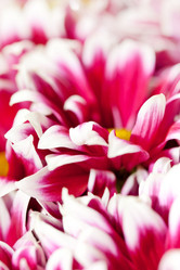 Similar image 2697909