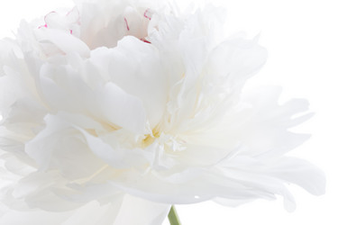 Similar image 2697919