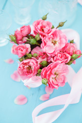 Similar image 2697920