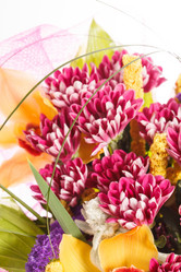 Similar image 2697925