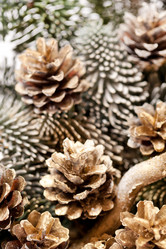 Similar image 2697928