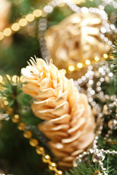 Similar image 2698057