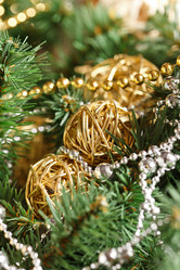 Similar image 2698070