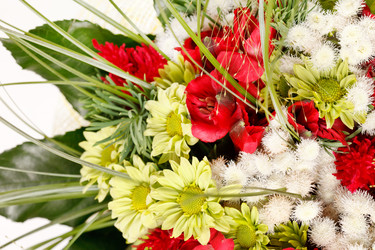 Similar image 2698104