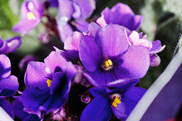 Similar image 2698105