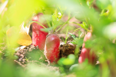 Similar image 2698110