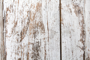 Similar image 2698119