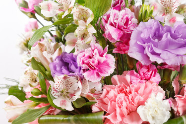 Similar image 2698154