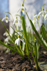 Similar image 2707623