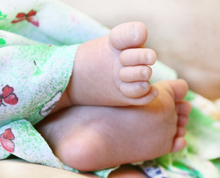 Similar image 2707634