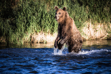 Similar image 2707862