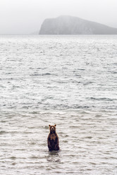 Similar image 2707942