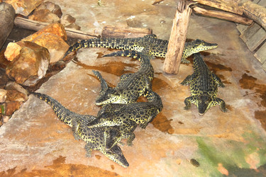 Similar image 2708242