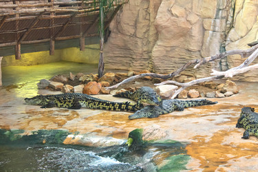 Similar image 2708250