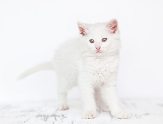 Similar image 2708260