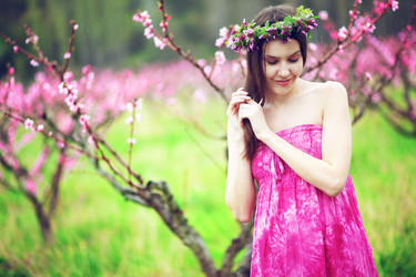 Similar image 2708285