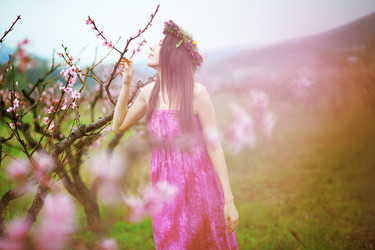 Similar image 2708288