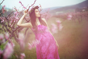 Similar image 2708289