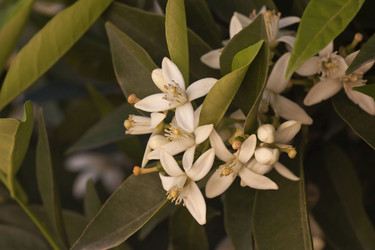 Similar image 2708300