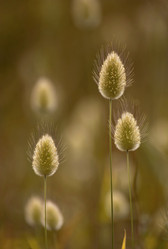 Similar image 2708306