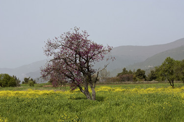 Similar image 2708307