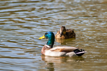 Similar image 2708322