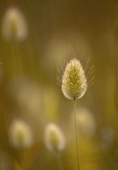 Similar image 2708348