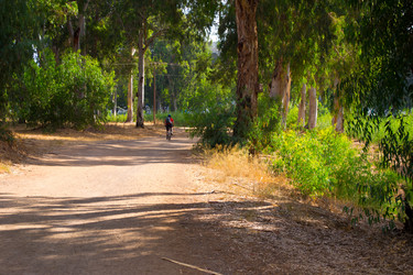 Similar image 2708470