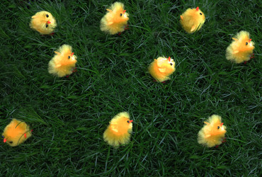 Similar image 2708674