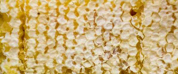 Similar image 2708881