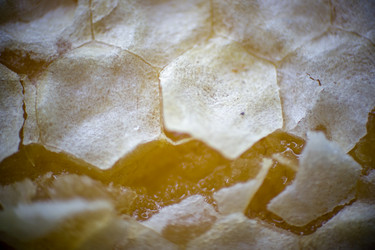 Similar image 2708885