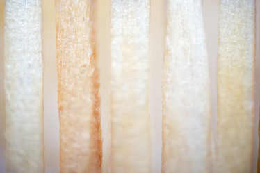 Similar image 2708891