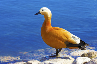 Similar image 2709287