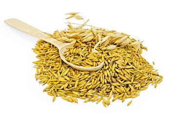 Similar image 2709739