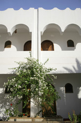 Similar image 2710505